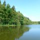 <p>Lanškrounské rybníky, zrcadlení břeřního porostu na vodní hladině</p>